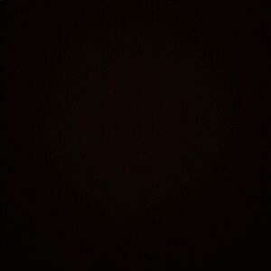 Meet your Posher, Elona